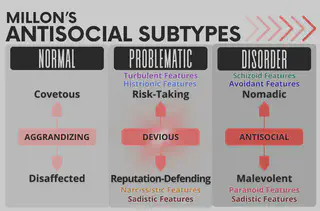 Antisocial Subtypes - Problematic (Devious)