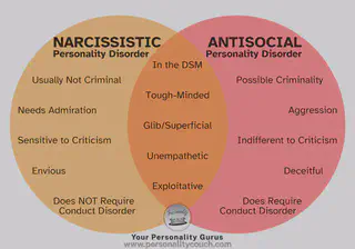 Narcissistic vs Antisocial Personality Disorder Venn Diagram