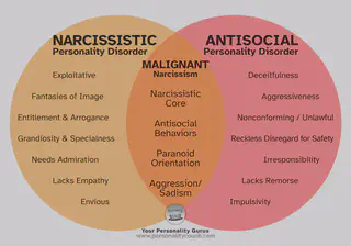 Narcissistic Antisocial and Malignant Venn Diagram
