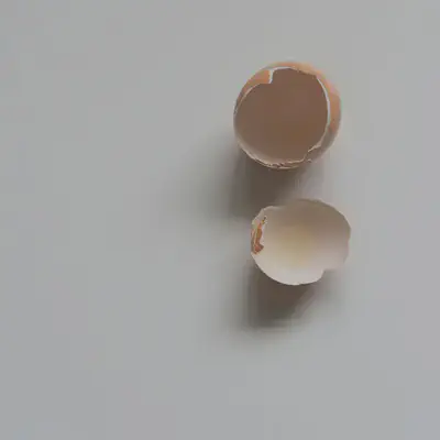 Broken Egg Shell