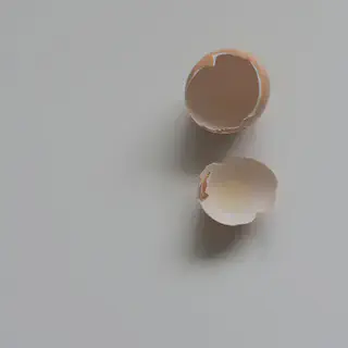Broken Egg Shell