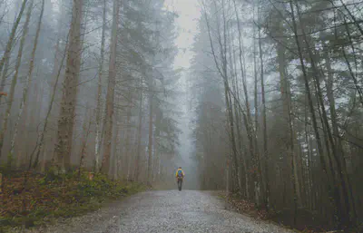 Person Walking Path in Woods