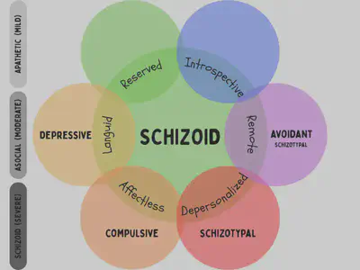 Skizoid Subtypes Diagram