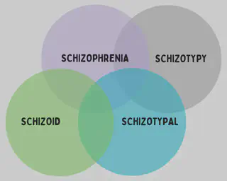 Schizo Venn Diagram