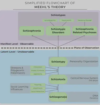 Simplified Flowchart of Meehl&rsquo;s Theory
